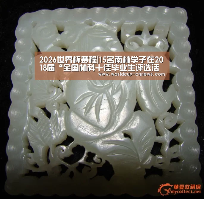 2026世界杯赛程|15名南林学子在2018届“全国林科十佳毕业生评选活动”中获奖