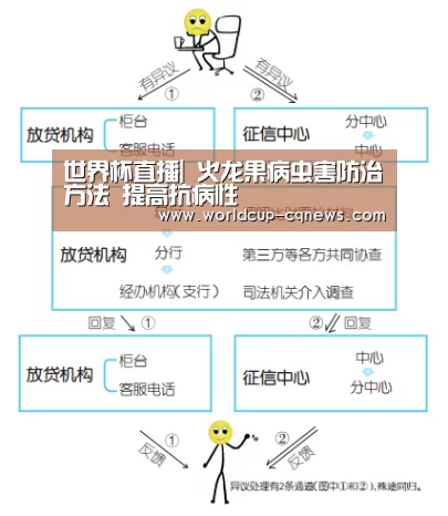 世界杯直播|
火龙果病虫害防治方法 提高抗病性(图3) 世界杯直播