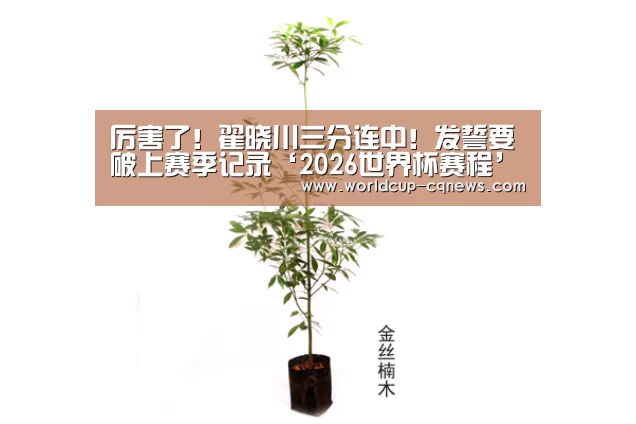 2026世界杯赛程